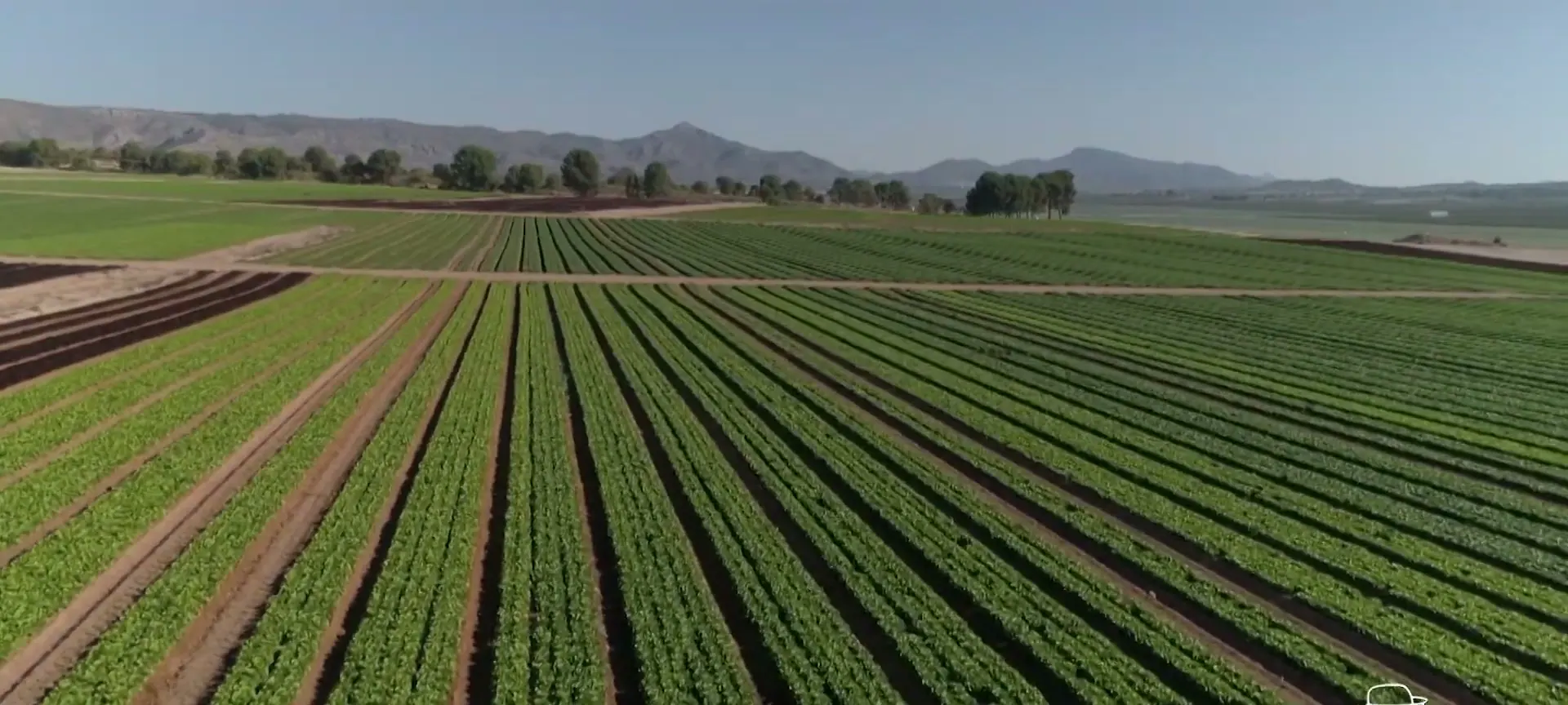 Campos de cultivo de El Niño del Campo